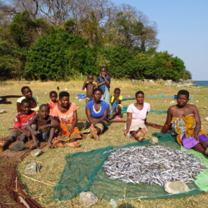 Cove KAronga